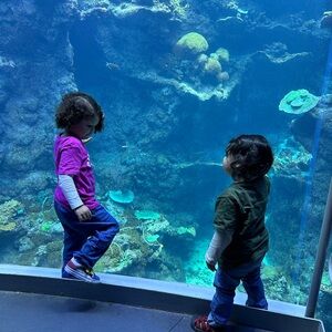 If you love a good deal, you won't be disappointed. 🌻🍭🍯🎖️